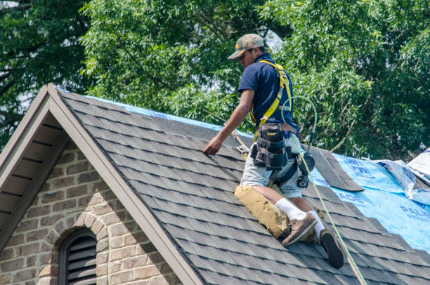 Best Storm Damage Roof Repair  in Mineral Ridge, OH